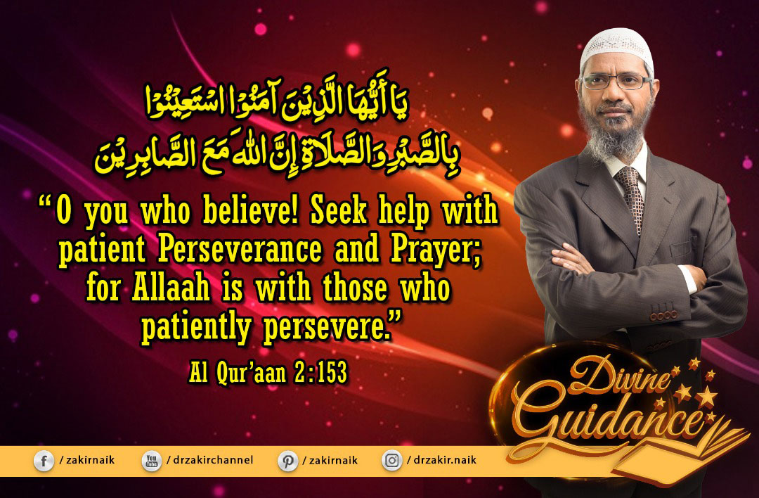 zakir-naik